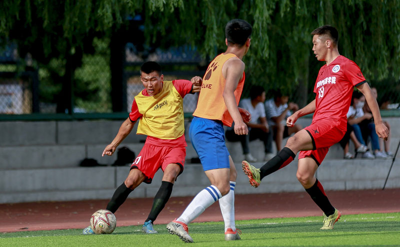 NBA：独行侠击败雄鹿 东契奇全场三双（NBA：独行侠力克雄鹿，东契奇砍下三双）